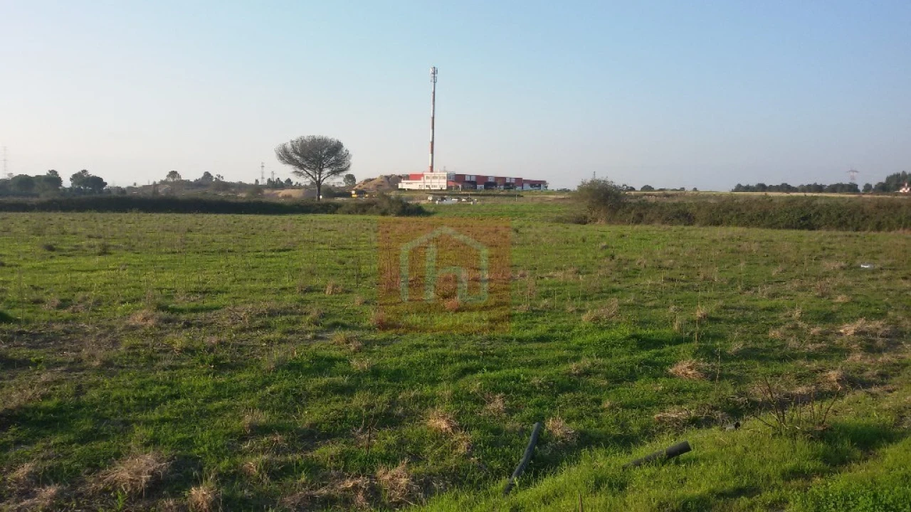 Terreno para Venda em Benavente Foto 6