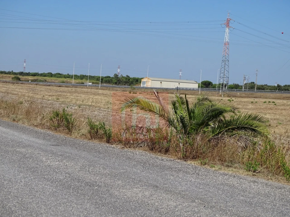 Terreno para Venda em Benavente Foto 13