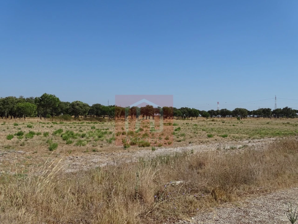 Terreno para Venda em Benavente Foto 17