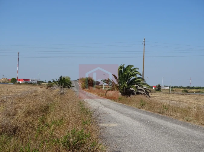 Terreno para Venda em Benavente