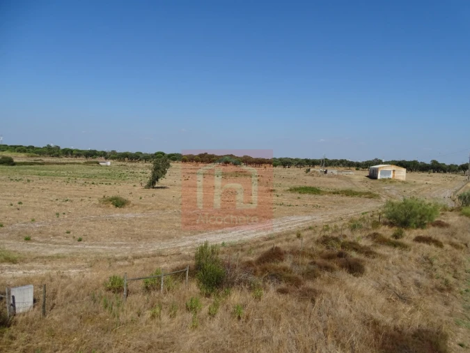 Terreno para Venda em Benavente Foto 11
