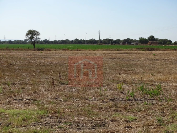 Terreno para Venda em Benavente Foto 12