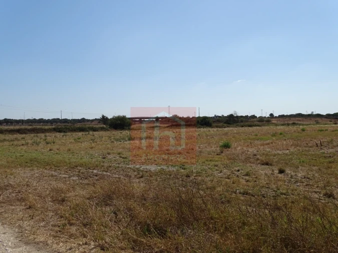 Terreno para Venda em Benavente Foto 16