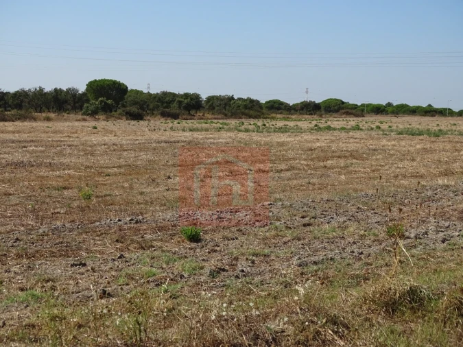 Terreno para Venda em Benavente Foto 19