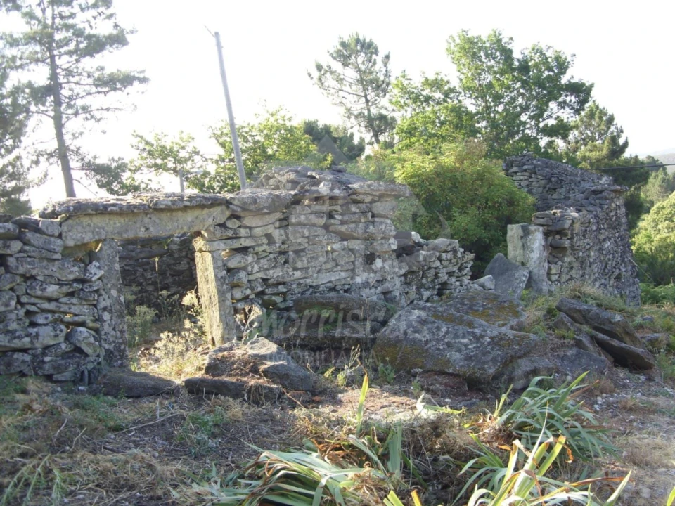 Terreno para Venda em Tarouca e Dálvares Foto 5