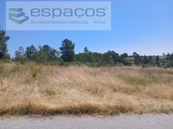Terreno Agricola ou Rústico para Venda em Sarnadas de Rodão Foto 4