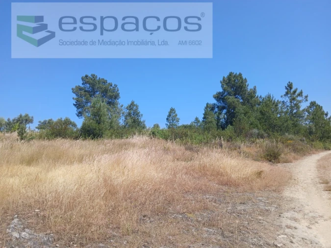 Terreno Agricola ou Rústico para Venda em Sarnadas de Rodão Foto 5