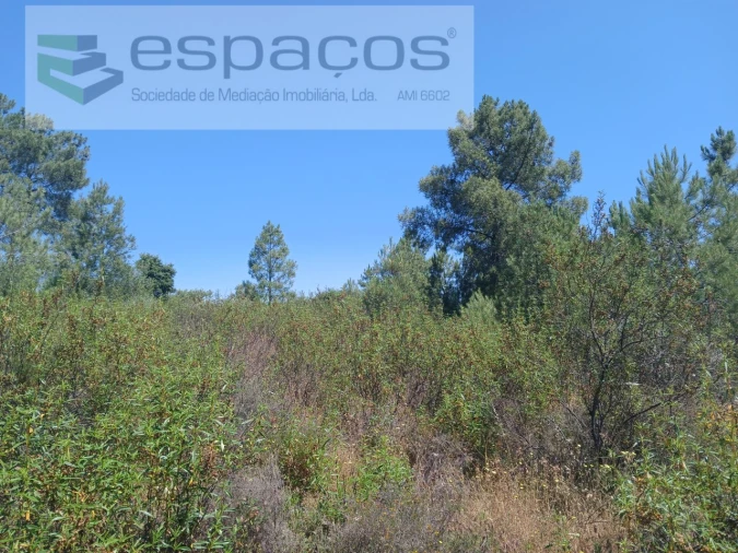 Terreno Agricola ou Rústico para Venda em Sarnadas de Rodão Foto 6