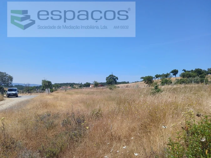Terreno Agricola ou Rústico para Venda em Sarnadas de Rodão Foto 7