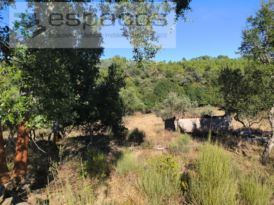 Terreno para Venda em Ninho do Açor e Sobral do Campo Foto 1