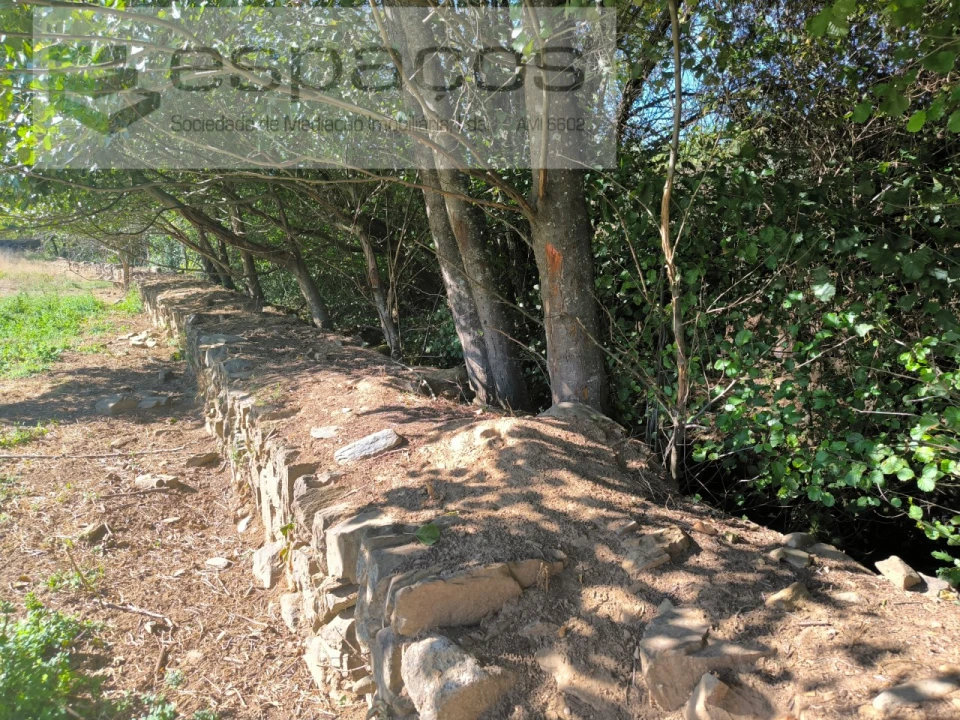 Terreno para Venda em Ninho do Açor e Sobral do Campo Foto 5