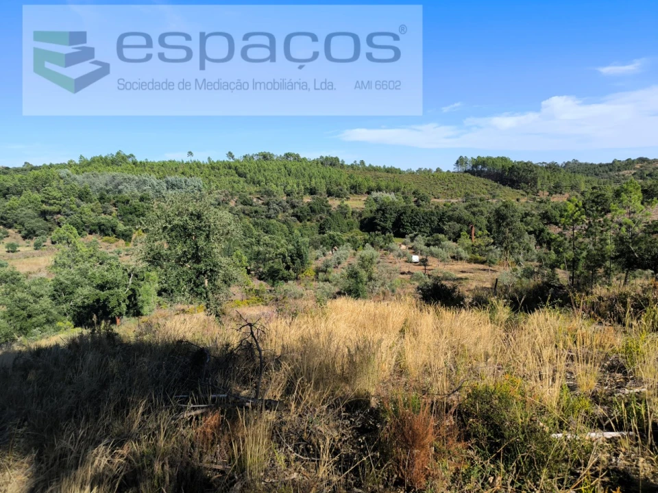 Terreno para Venda em Ninho do Açor e Sobral do Campo Foto 9