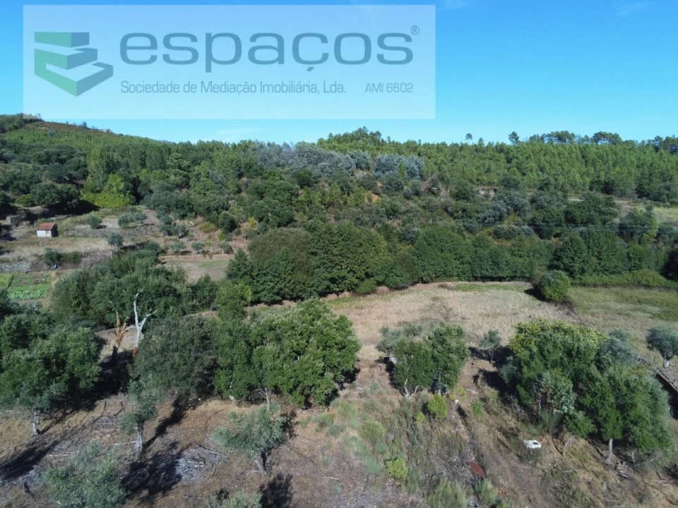 Terreno para Venda em Ninho do Açor e Sobral do Campo Foto 10