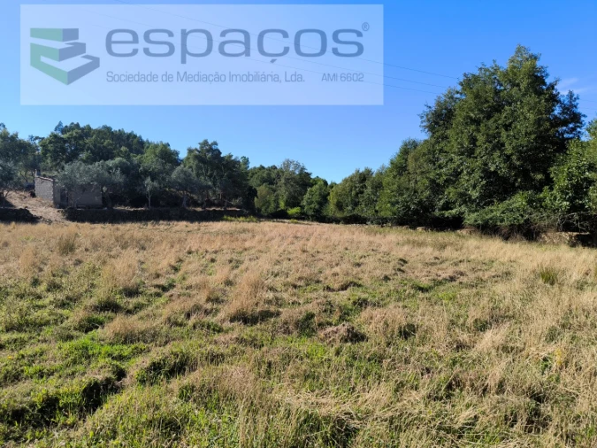 Terreno para Venda em Ninho do Açor e Sobral do Campo Foto 3