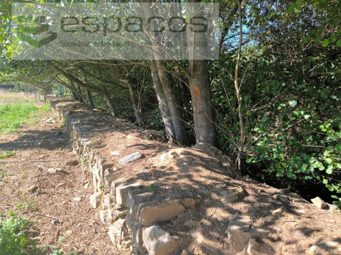 Terreno para Venda em Ninho do Açor e Sobral do Campo Foto 5