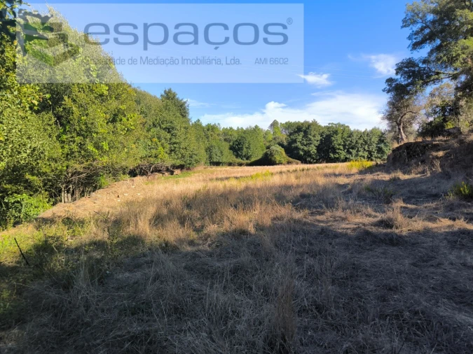 Terreno para Venda em Ninho do Açor e Sobral do Campo Foto 7