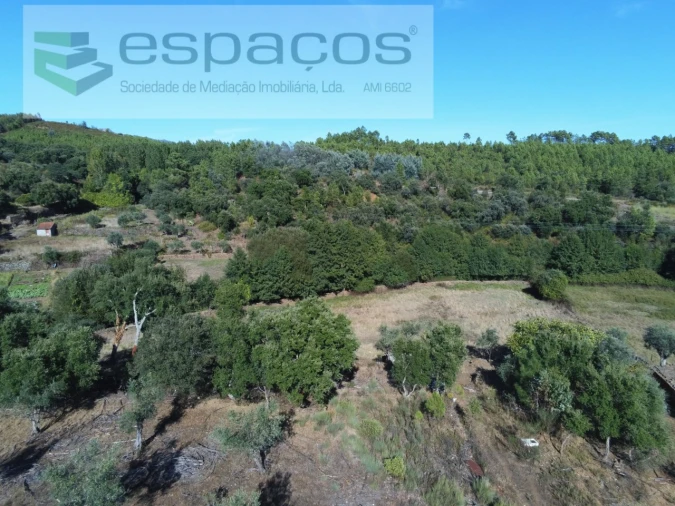 Terreno para Venda em Ninho do Açor e Sobral do Campo Foto 10