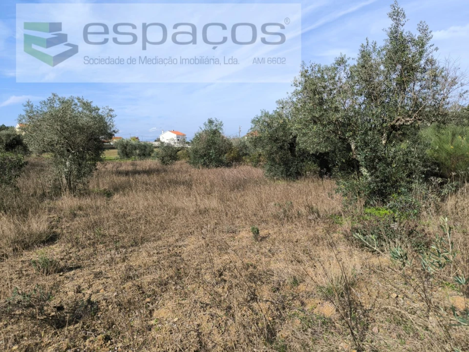 Terreno Agricola ou Rústico para Venda em Salgueiro do Campo Foto 3