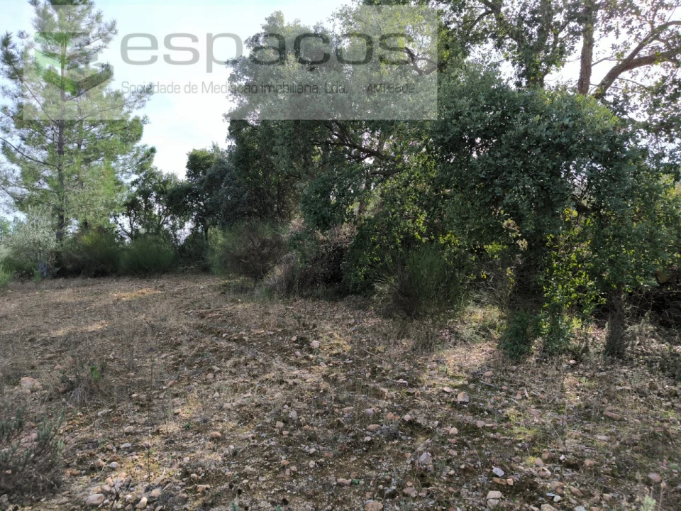 Terreno Agricola ou Rústico para Venda em Salgueiro do Campo Foto 4
