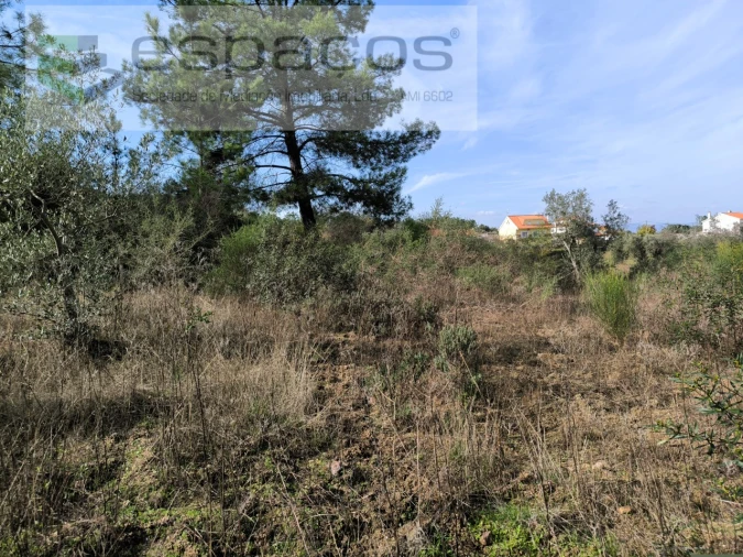 Terreno Agricola ou Rústico para Venda em Salgueiro do Campo Foto 5