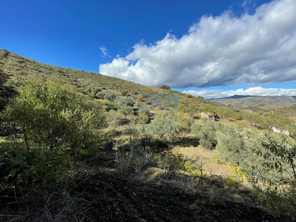 Terreno Agricola ou Rústico para Venda em Vila Nova de Foz Côa Foto 3