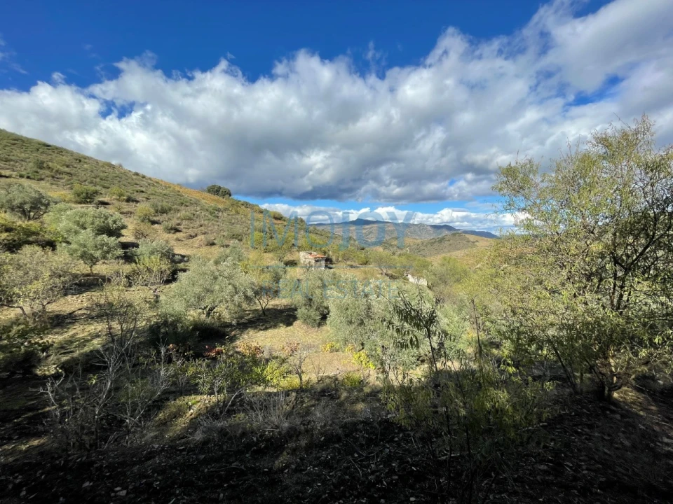 Terreno Agricola ou Rústico para Venda em Vila Nova de Foz Côa Foto 4