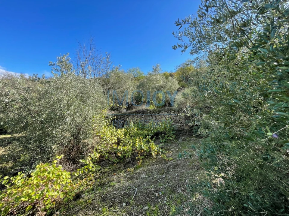 Terreno Agricola ou Rústico para Venda em Vila Nova de Foz Côa Foto 5