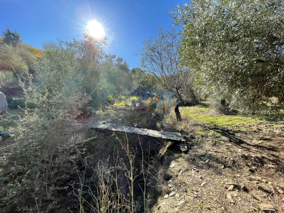 Terreno Agricola ou Rústico para Venda em Vila Nova de Foz Côa Foto 15