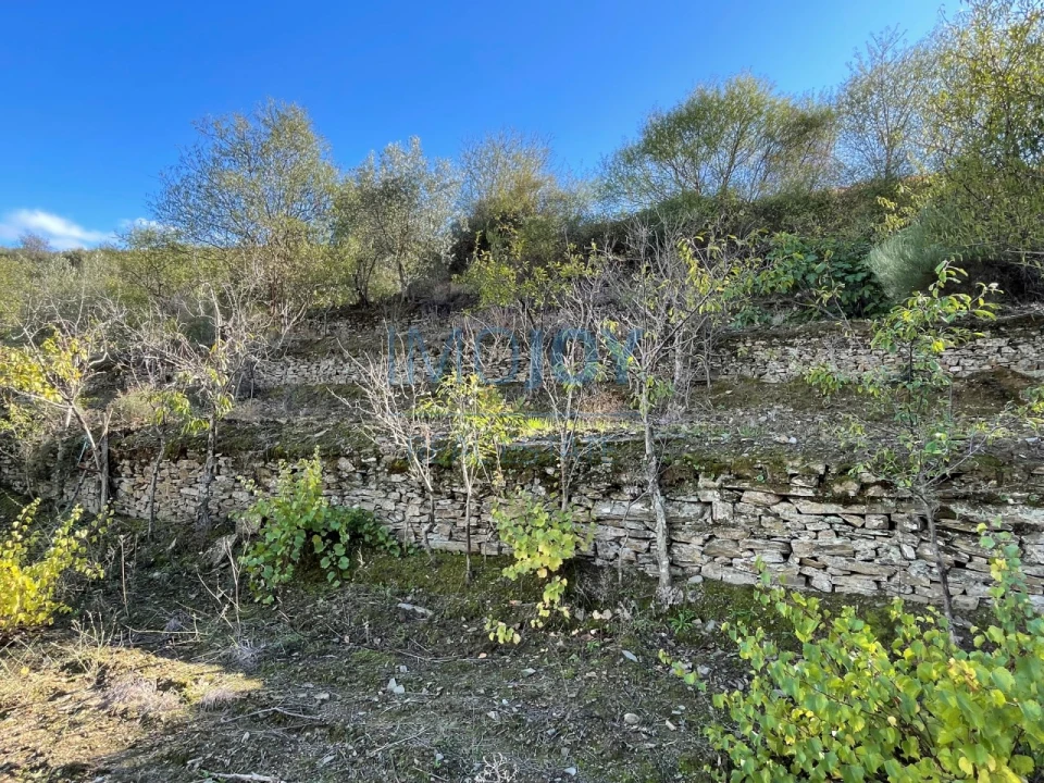 Terreno Agricola ou Rústico para Venda em Vila Nova de Foz Côa Foto 17
