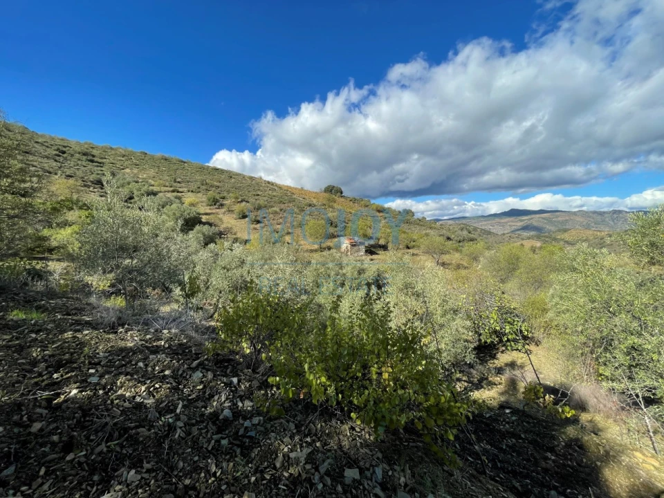 Terreno Agricola ou Rústico para Venda em Vila Nova de Foz Côa Foto 19