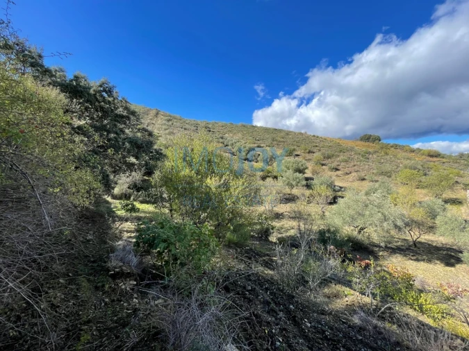 Terreno Agricola ou Rústico para Venda em Vila Nova de Foz Côa Foto 2