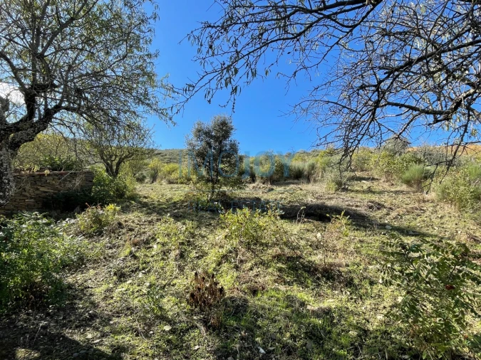 Terreno Agricola ou Rústico para Venda em Vila Nova de Foz Côa Foto 9