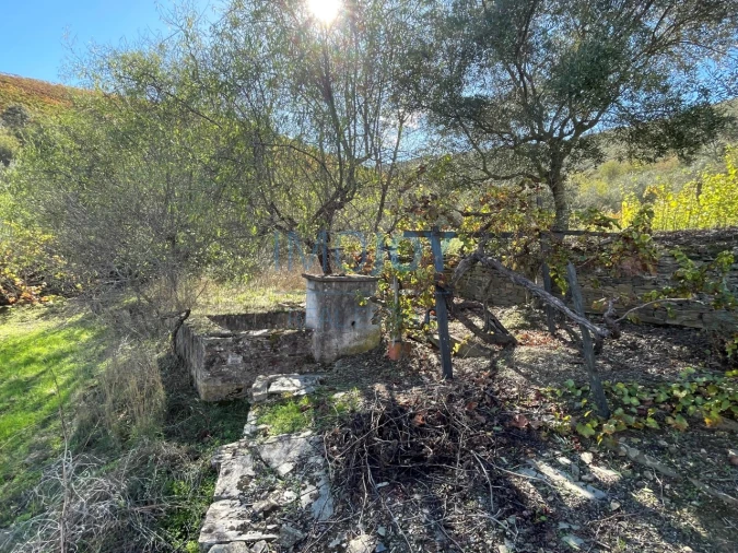Terreno Agricola ou Rústico para Venda em Vila Nova de Foz Côa Foto 10