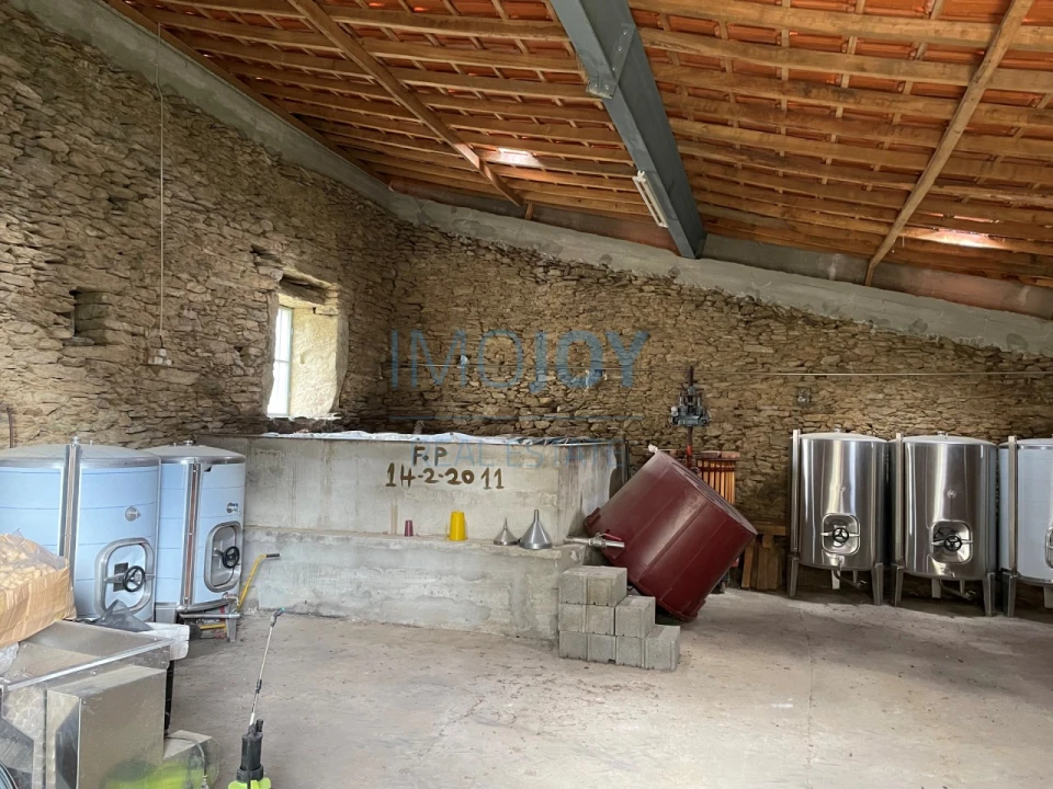 Quinta T4 para Venda em Vila Nova de Foz Côa Foto 51