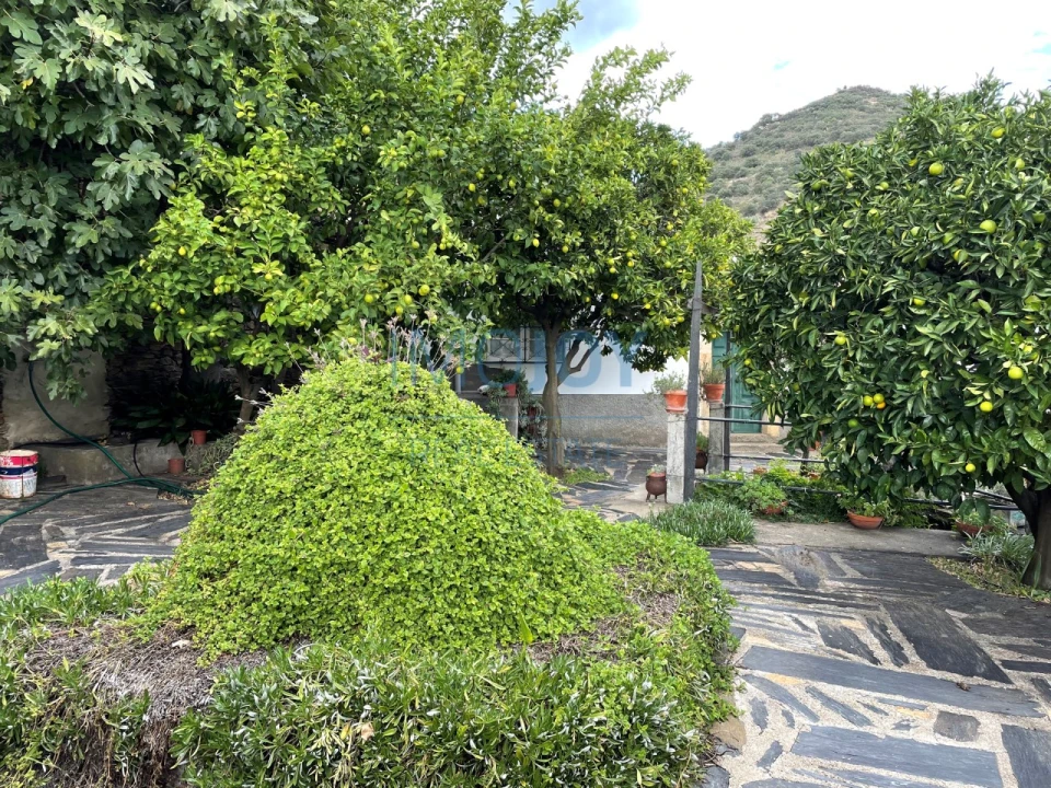 Quinta T4 para Venda em Vila Nova de Foz Côa Foto 52