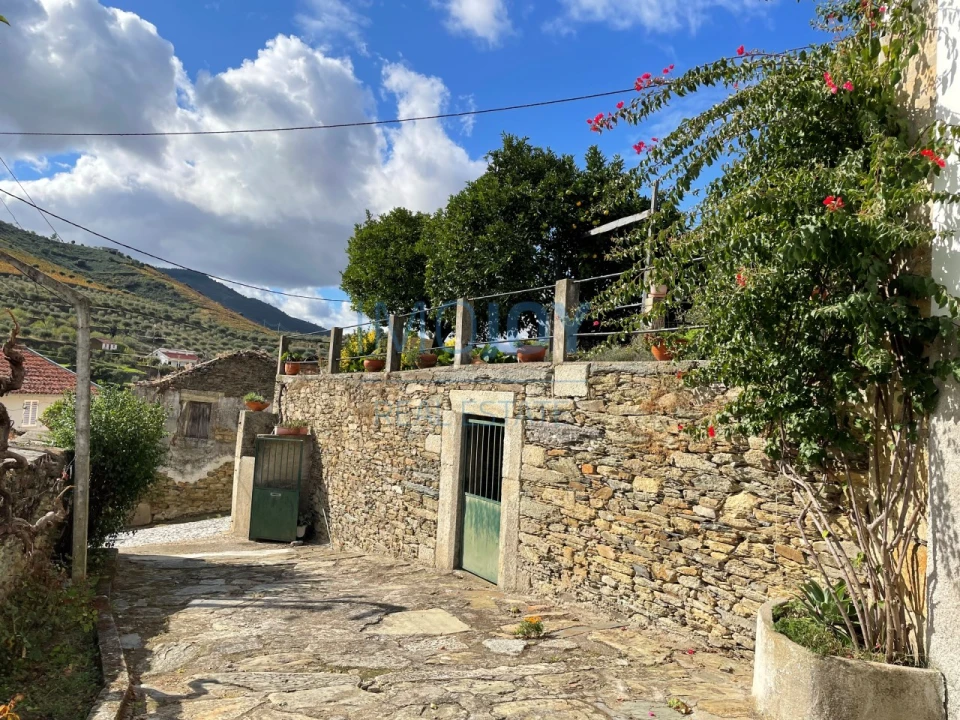Quinta T4 para Venda em Vila Nova de Foz Côa Foto 63