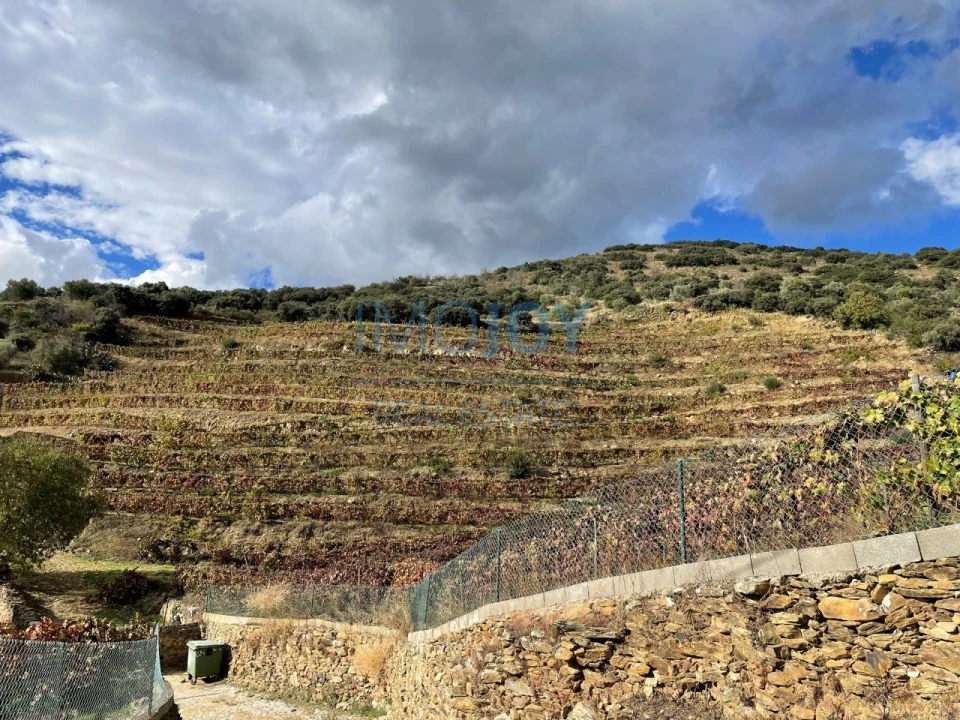 Quinta T4 para Venda em Vila Nova de Foz Côa Foto 68