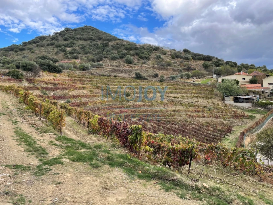 Quinta T4 para Venda em Vila Nova de Foz Côa Foto 69