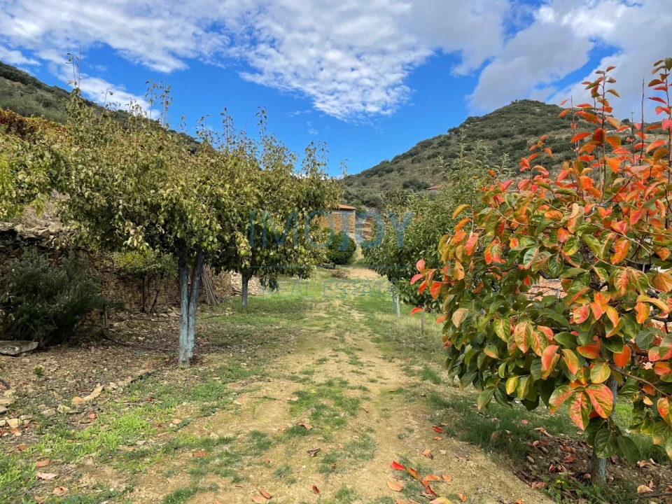 Quinta T4 para Venda em Vila Nova de Foz Côa Foto 71