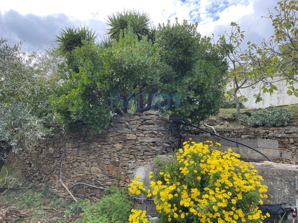 Quinta T4 para Venda em Vila Nova de Foz Côa Foto 72