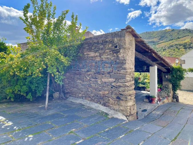 Quinta T4 para Venda em Vila Nova de Foz Côa Foto 45