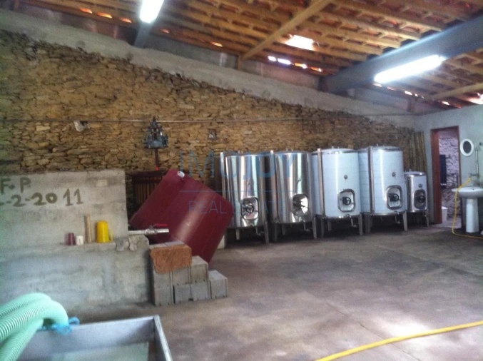 Quinta T4 para Venda em Vila Nova de Foz Côa Foto 47