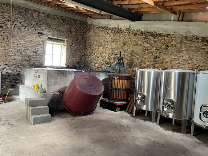 Quinta T4 para Venda em Vila Nova de Foz Côa Foto 48