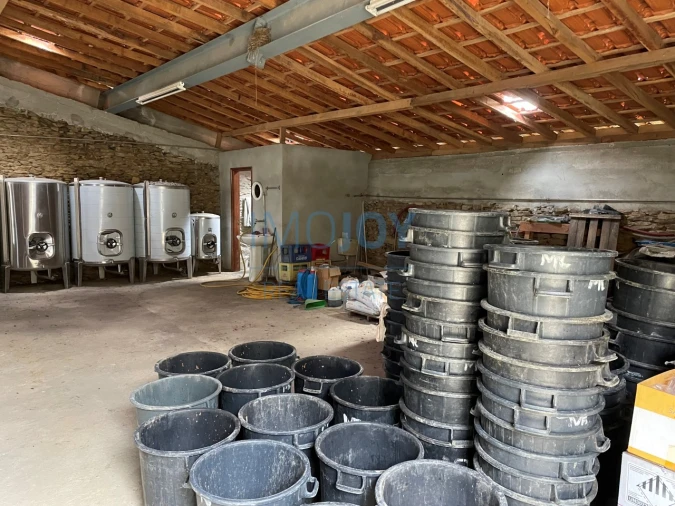 Quinta T4 para Venda em Vila Nova de Foz Côa Foto 50