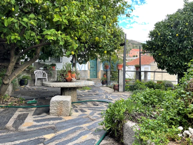 Quinta T4 para Venda em Vila Nova de Foz Côa Foto 53