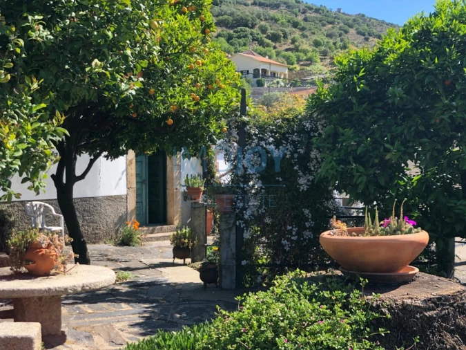 Quinta T4 para Venda em Vila Nova de Foz Côa Foto 54