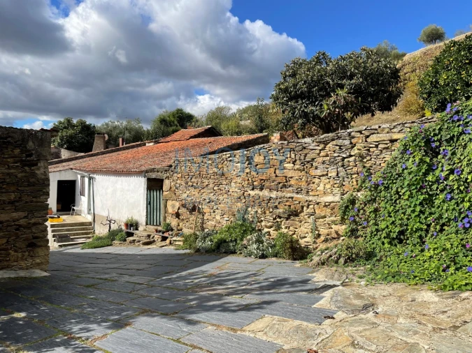 Quinta T4 para Venda em Vila Nova de Foz Côa Foto 64