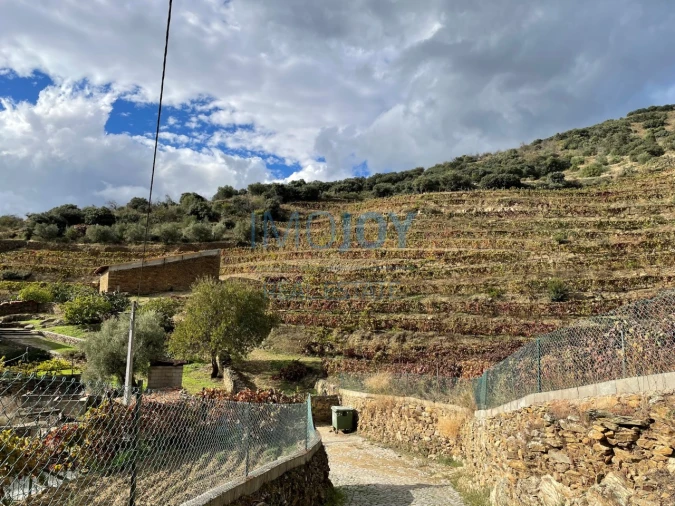 Quinta T4 para Venda em Vila Nova de Foz Côa Foto 67