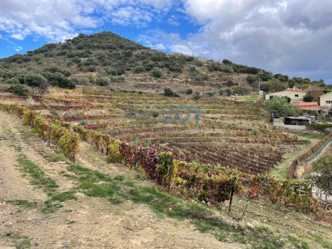 Quinta T4 para Venda em Vila Nova de Foz Côa Foto 69