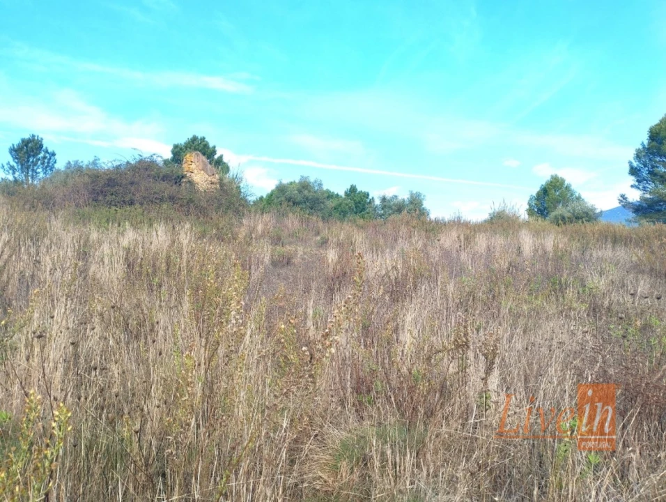 Terreno para Venda em Abrigada e Cabanas de Torres Foto 4